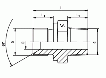 Gerade Adapter mit 60° Konus DNGR