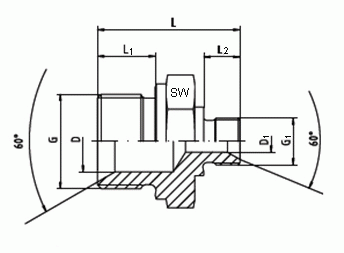 Gerade Adapter mit 60° Konus DNGG