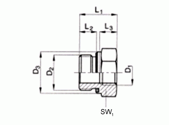 Reduzierstutzen RI-WD (a)